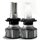 FURIA NOCTURNA h7 copia.webp