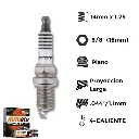Bujia Autolite Iridium Xp Ngk Ifr7G-11K